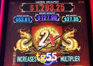 tg55 Rio de Janeiro - Professional Dealers