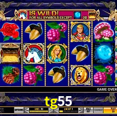 tg55 Brasília - VIP Program